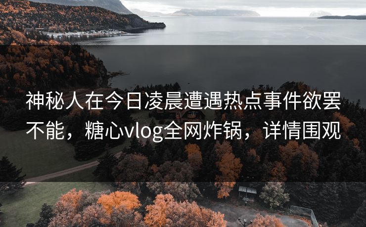 神秘人在今日凌晨遭遇热点事件欲罢不能,糖心vlog全网炸锅,详情围观 神秘人在今日凌晨遭遇热点事件欲罢不能,糖心vlog全网炸锅,详情围观