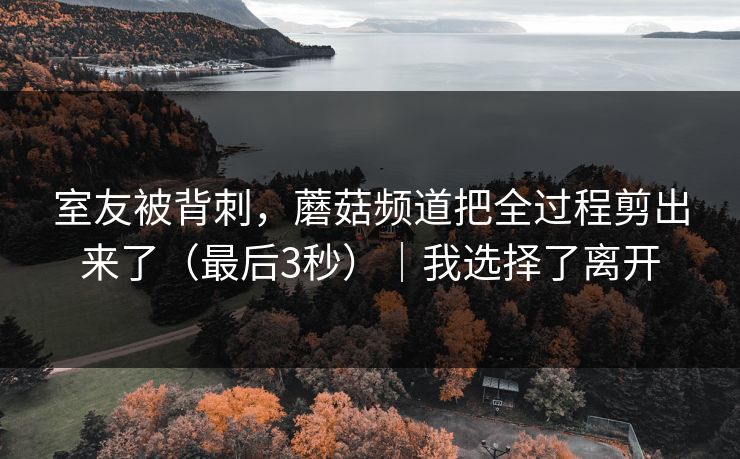 室友被背刺，蘑菇频道把全过程剪出来了（最后3秒）｜我选择了离开