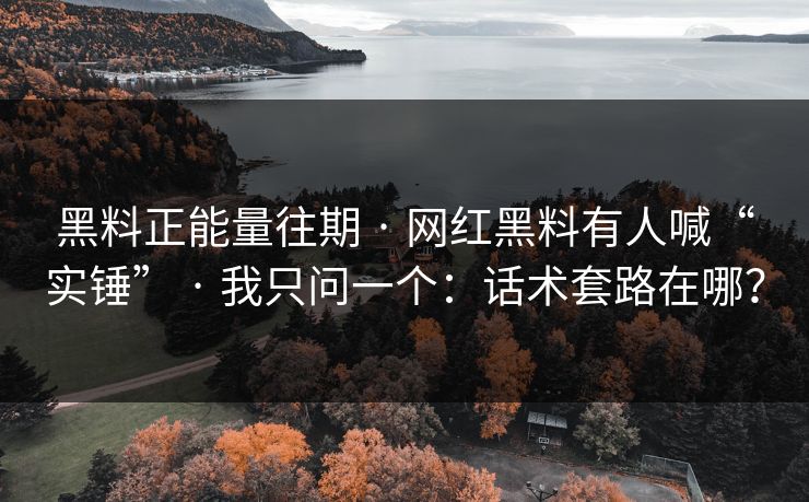 黑料正能量往期 · 网红黑料有人喊“实锤” · 我只问一个：话术套路在哪？