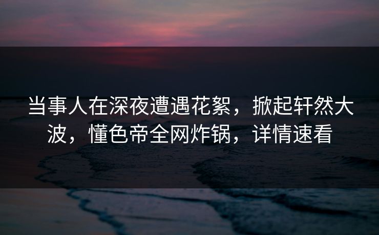 当事人在深夜遭遇花絮，掀起轩然大波，懂色帝全网炸锅，详情速看